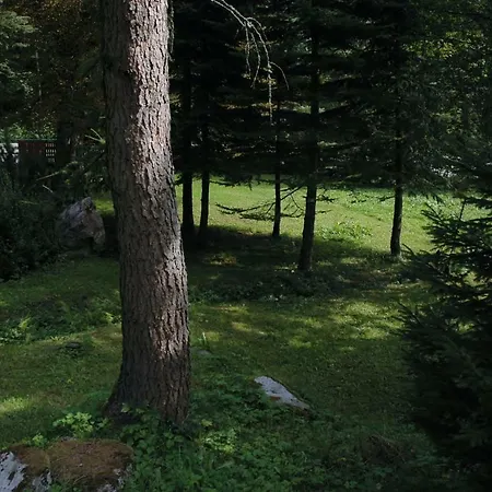 Lodge Orlí Hnízdo