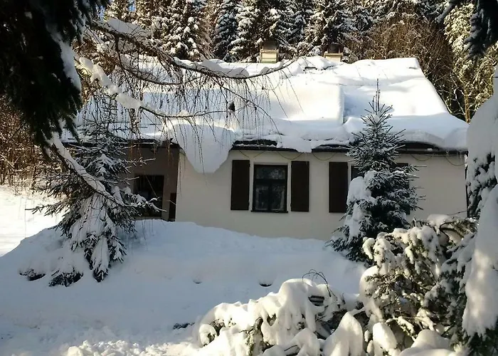Orli Hnizdo
