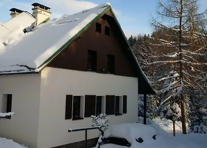 Orli Hnizdo